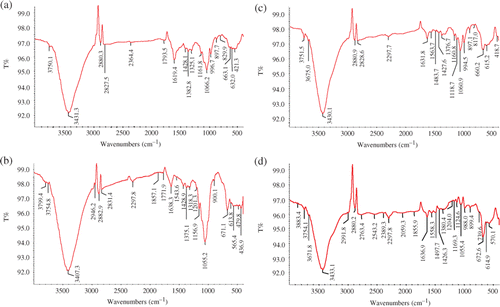 Figure 5. FTIR spectra of S. cumini synthesised GNP. Note: The GNP synthesised using different extracts and fractions were powdered and washed with double-distilled water before use in KBr disc for FTIR spectrum. (a) FTIR spectrum of LE-synthesised GNP; (b) FTIR spectrum of LWF-synthesised GNP; (c) FTIR spectrum of SE synthesised GNP; and (d) FTIR spectrum of SWF-synthesised GNP.