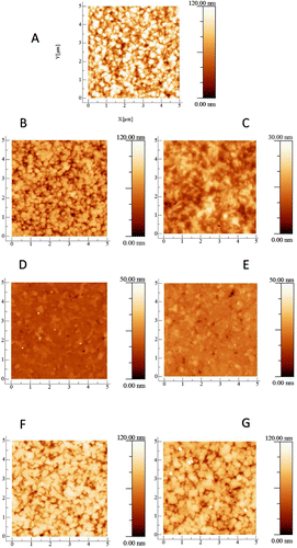 Figure 1. AFM images of the NCD films. (A) Shows the as-grown NCD film and is included here for comparison with the polished films. (B) NCD film after three hours of basic alumina polishing. (C) NCD film after three hours of acidic alumina polishing. (D) NCD film after three hours of basic silica polishing. The small white dots on the surface of Figure 1(D) are due to dust particles as a result of the samples exposure to air. They are only visible because the diamond surface is so smooth that minor particles can be observed as perturbations. They are few in number and sufficiently minor that they are unlikely to affect the AFM measurement significantly. (E) NCD film after three hours of acidic silica polishing. (F) NCD film after three hours of basic ceria polishing. (G) NCD film after three hours of acidic ceria polishing. There is a strong variation in the roughness reduction of each film for the different slurries. The films polished by basic and acidic silica – (D) and (E), respectively – are significantly smoother than the as-grown film (A). Whereas the surface polished by basic ceria (F) and the surface polished by acidic ceria (G) look similar to the as-grown film. Interestingly, the film polished by basic alumina looks similar to the surfaces polished by ceria – (G) and (F) – whilst the film polished by acidic alumina (C) looks smoother than these but not as smooth as the silica-polished surfaces – (D) and (E).