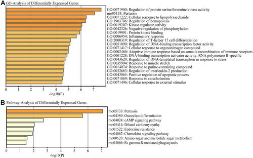 Figure 4 Functional enrichment analysis of differentially expressed mRNAs. The most significantly differentially expressed mRNAs involved in (A) biological process, cellular component and molecular function were identified by Gene Ontology (GO) analysis and (B) signaling pathways by Kyoto Encyclopedia of Genes and Genomes (KEGG) pathway analysis.