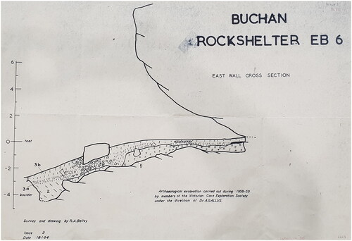 Figure 2. Alexander Gallus’s 1958–1959 section drawing (drawn by R.A. Bailey) of his excavation trench at rock shelter EB-6 (VAHR 8522-0021). (Courtesy of the Australian Institute of Aboriginal and Torres Strait Islander Studies).