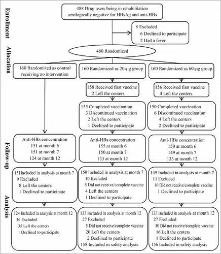 Figure 1. Participant flow in the hepatitis B vaccination randomized open-label, blank-controlled trial among drug users.