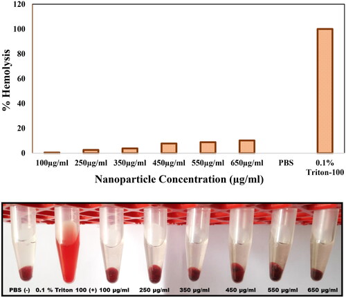 Figure 13. Haemolysis assay of Fe3O4@SiO2@PDA@Ag nanoparticle at various concentrations.
