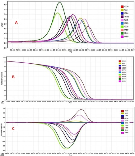 Figure 2 Comparison of different spa polymorphic region X HRM curves obtained from MRSA isolates. (A) Negative derivative of fluorescence over temperature (df/dt) plots displaying 10 HRM profiles. (B) Normalization data curve shows the decreasing fluorescence vs increasing temperature. (C) Difference graph demonstrating the accurate reproduction of eight spa HRM profiles in a run experiment. Isolates with difference plots that fall within the ±0.2 relative ﬂuorescence unit (RFU) cutoffs were considered as the “same” type, while the isolates that lie outside of the ±0.2 RFU cutoffs were denoted as “different”.