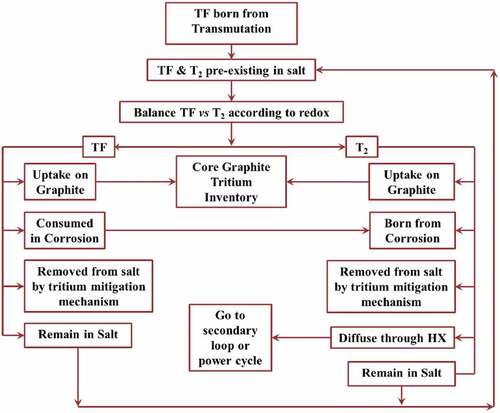 Fig. 14. Tritium mechanisms in TRIDENT