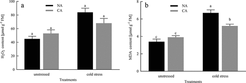 Figure 5. Effects of cold acclimation on H2O2 and MDA under cold stress in citrus seedling leaves. Note. H2O2 – hydrogen peroxide, MDA – malondialdehyde, NA – without cold acclimation, CA – cold acclimation. The data in the figure is the average value of three replicated samples. Different letters indicate significant differences among different treatments at P < .05.