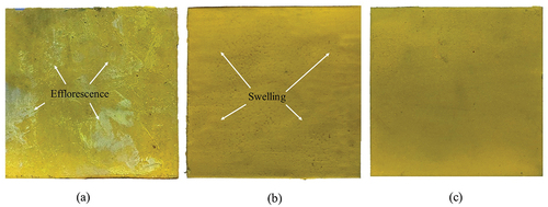 Figure 11. Coating sample after 500 h immersion in 3.5 wt.% NaCl solution showing (a) efflorescent effect with crystalline deposits on the surface of alkyd paint, (b) swelling on on the edge part of GPHC26 specimen and (c) no visual defect on GPHC29.