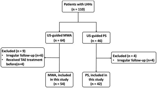 Figure 1. Patient flowchart. US: ultrasound; MWA: microwave ablation; PS: percutaneous sclerotherapy; TAE: trans-arterial embolization; LHH: large hepatic hemangioma.