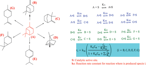 Figure 5. Kinetic scheme for the isomerization of α-pinene over a heterogeneous catalyst.