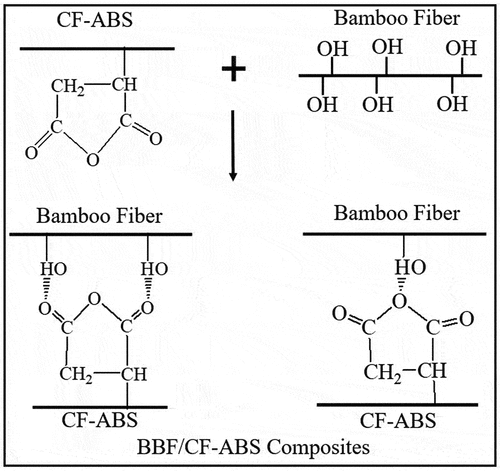Figure 7. Hydrogen bonding between BBF and CF-ABS.