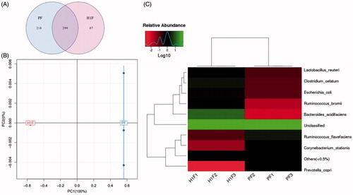 Figure 2. 16S rRNA analysis results (PF: fecal samples of plain group, H1F: fecal samples of hypoxia group.) of A: Venn diagram was shared OTU across different groups, B: PCA based on OTU abundance between two groups, C: Log-scaled percentage heat map of species level.