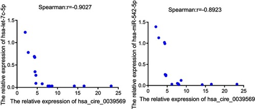 Figure 8 The result of spearman correlation test between hsa_circ_003956 and hsa-miR-542-3p/hsa-let-7c-5p in the grade 3 EC.