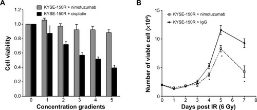Figure 1 Effects of nimotuzumab on cell growth in KYSE-150R cells.