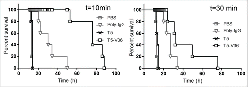 Figure 7. Delayed neutralization assay. Survival rate of groups of 5 mice were challenged s.c. with 5 × LD100 of the toxin preparation, and 10 and 30 min later, treated i.v. with PBS, or PBS containing 6.3 nmoles of T5, T5–V36, or 3.3 nmoles of Poly-IgG. The Log-rank (Mantel-Cox) test indicated significant differences in the neutralizing activity of the nanobodies as follows: PBS<Poly-IgG (p < 0.0001), Poly-IgG <T5 – V36 (p < 0.0001) at 10 min, and PBS <Poly-IgG (p < 0.0001), Poly-IgG <T5 – V36 (p < 0.05) at 30 min.