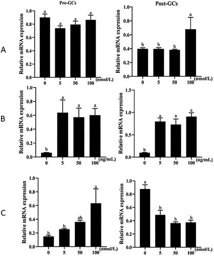 Figure 2. Effect of estrogen (A), FSH (B) and progesterone (C) on the mRNA expression of chicken RLN3 in Pre-GCs and Post-GCs. The relative mRNA expression level of RLN3 was measured by RT-qPCR, with each sample being assayed in triplicate using GAPDH as reference and represented as means ± standard error. Bars with different superscript letters indicate significantly different (p < 0.05).