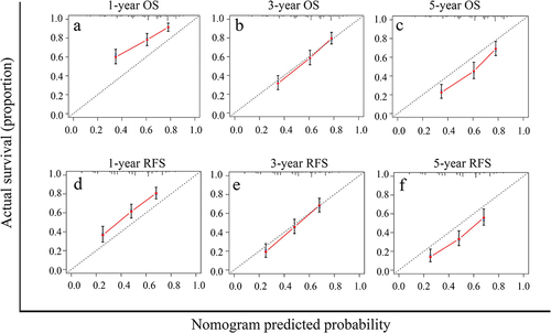 Figure 5 Calibration curves of nomograms for predicting OS and RFS of SLHCC patients at 1-,3-and 5-years. a-c. 1- (a), 3- (b) and 5- (c) year OS. d-f. 1- (d), 3- (e) and 5- (f) year RFS.