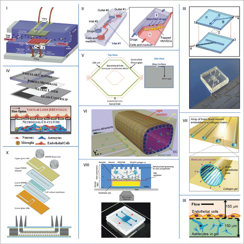 Figure 2. Examples of microfluidic BBB models from literature. Reprinted and adapted with permission from: I BoothCitation68; II YeonCitation69; III GriepCitation70; IV AchyutaCitation71; V PrabhakarpandianCitation72; VI ChoCitation44; VII KimCitation73; VIII BrownCitation74; IX SellgrenCitation75; X WalterCitation76.