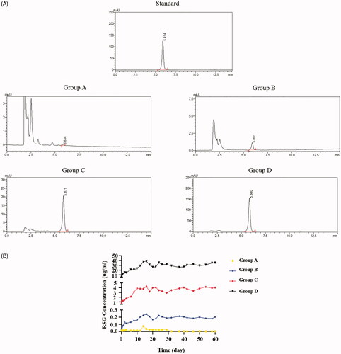 Figure 3. (A) A typical chromatogram of rosiglitazone (standard sample: 5.914 min), group A (5.834 min), group B (5.883), group C (5.871), and group D (5.840). (B) The RSG release curve of four groups.