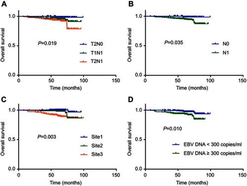 Figure 1 Kaplan–Meier overall survival curves for all 419 patients with NPC in training set stratified by stage (A), N category (B), lymph node site (C), and EBV DNA concentration (D).Abbreviations: NPC, nasopharyngeal carcinoma