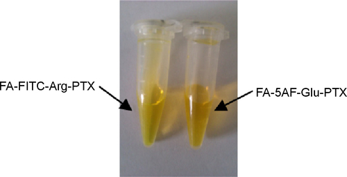 Figure S3 Aqueous solubility of multi-small molecule-conjugated PTX prodrugs.Notes: The direct observation methods were used in the solubility calculations for the PTX prodrugs, FA-FITC-Arg-PTX (6.45±0.15 mg/mL, n=4) and FA-5AF-Glu-PTX (6.41±0.18 mg/mL, n=4).Abbreviations: FA, folic acid; FITC, fluorescein isothiocyanate; PTX, paclitaxel.