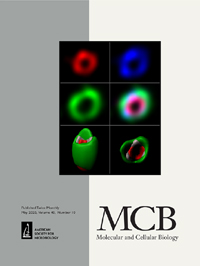 Cover image for Molecular and Cellular Biology, Volume 40, Issue 10, 2020