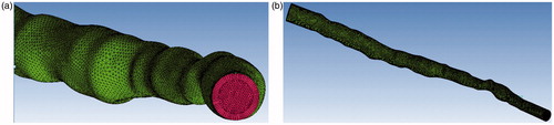 Figure 3. (a) Local enlargement of volume meshes. (b) 3D geometry of the coronary artery.