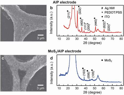 Figure 2. Structural characteristics of electrodes before and after coating MoS2 nanosheets. (a) SEM image and (b) XRD spectrum of AIP electrode. (c) SEM image and (d) XRD spectrum of MoS2/AIP electrode