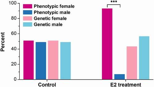 Figure 1. The percent of genetic and phenotypic female and male channel catfish (Ictalurus punctatus) in the control and 17β-oestradiol (E2) treatment at 110 days post fertilization (dpf). ***, p < 0.001 by the Chi-square goodness-of-fit test.