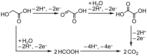 Scheme 1. Proposed pathway for GC oxidation.