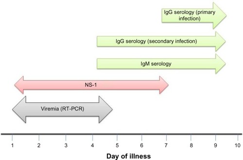 Figure 2 Laboratory diagnosis of dengue.Note: Day 0 is the first day when the patient noted any symptom during this illness.Abbreviations: IgG, immunoglobulin G; IgM, immunoglobulin M; NS-1, nonstructural protein 1; ELISA, enzyme-linked immunosorbent assay; RT-PCR, reverse transcriptase polymerase chain reaction.