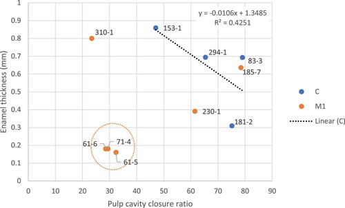 Figure 4. Bivariate plot of pulp cavity closure ratio to enamel thickness for the Moxviquil and Tenam Puente specimens. A linear trendline for the maxillary canine specimens is shown. The three specimens encircled in orange represent likely juvenile specimens from Moxviquil with unusually low pulp cavity closure ratios and unusually thin enamel.