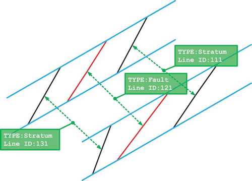 Figure 6. The corresponding relationships of stratum interface lines or fault lines in adjacent sections.