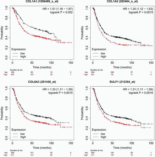 Figure 5 The prognostic value of different expressed COL1A1, COL1A2, COL6A3, and SULF1 chemokines in gastric cancer patients in the overall survival curve (Kaplan–Meier plotter).