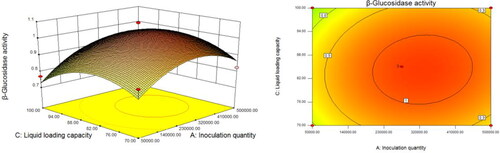 Figure 5. Response surface (left) and the corresponding contours (right) showing the effects of inoculation amount and liquid volume in flask on the activity of β-glucosidase produced by Trichoderma reesei S12.