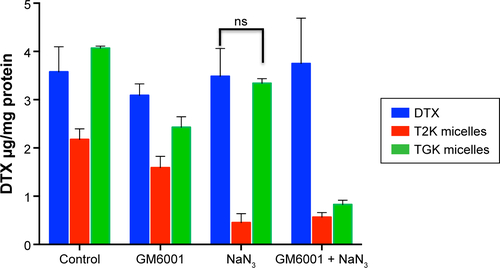Figure S4 Cellular uptake of DTX, T2K, and TGK micelles in the presence of NaN3 (ATP depletion agent) and GM6001 (MMPs inhibitor) in HT1080 cells.Notes: Values are expressed as mean ± SD (n=3). HT1080 is the human fibrosarcoma cell line.Abbreviations: T2K micelles, micelles composed of TPGS/T2K (n:n =40:60) loaded with DTX; TGK micelles, micelles composed of TPGS/TGK (n:n =40:60) loaded with DTX; DTX, docetaxel; SD, standard deviation; TPGS, d-α-tocopheryl polyethylene glycol 1000 succinate; MMP, matrix metalloproteinase; ATP, adenosine triphosphate; ns, no significance.