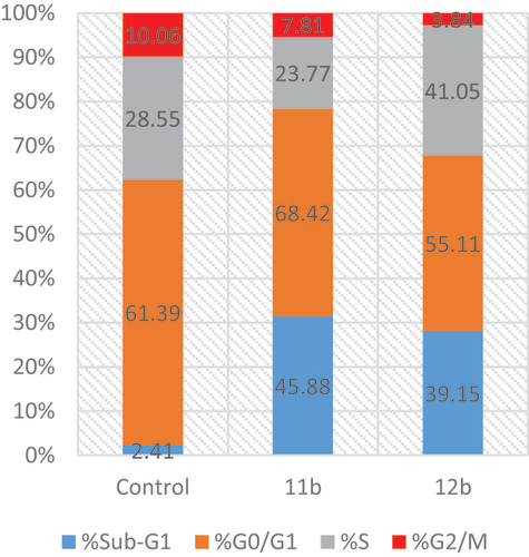 Figure 3. Phases distribution of T47D cells upon incubation with 11b and 12b.