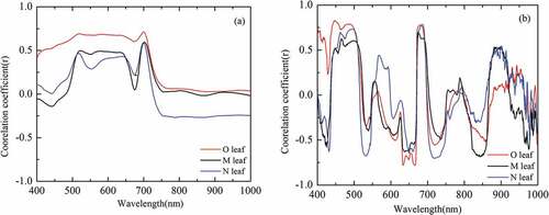 Figure 2. Correlation coefficients between Cu content in leaves of different development degrees and (a) reflectance and (b) first difference reflectance