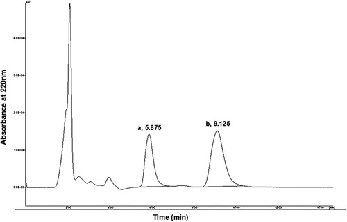 Figure 1 Chromatograms of garlic extracts. Peaks are: A, allicin; B, ethylparaben (IS).