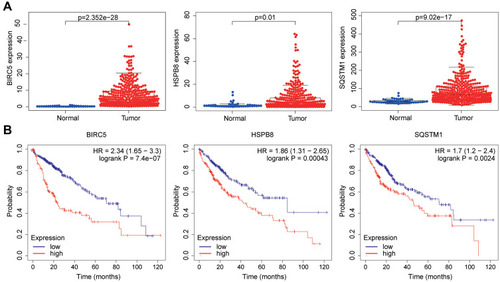 Figure 5 The three genes expression in tumor and non-tumor tissues and survival analysis. (A) The three genes expression level in tumor and normal tissues. (B) The K–M curves of the three genes.