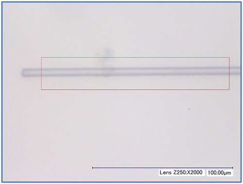 Figure 3. Typical micrographs of an individual fiber during testing. The red box represents the length over which the diameter was measured at each time step.
