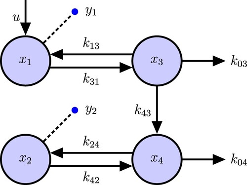 Figure 7. 4-Compartment model.