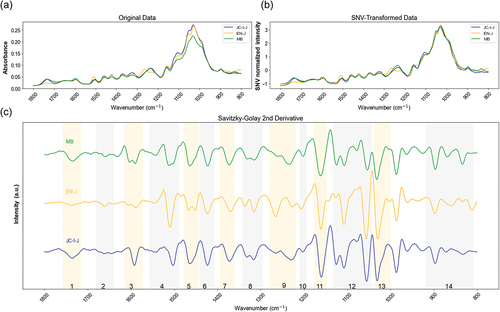 Figure 2. Spectrum analysis from (a) original, (b) SNV-transformed, and (c) SG-filtered second derivative spectra. Annotation 1–15 in Figure 2c (bottom) is referred to Table S4.