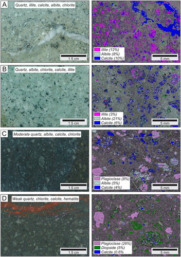 Figure 6. Images of hydrothermal altered rock (left) and corresponding automated mineralogy map (right) for samples from the Karangahake deposit. Note that left and right images are from different parts of the same slabbed rock surface. The different colours for the automated map represent different minerals with selected minerals indicated in the legend and their corresponding amount. A, Quartz, illite, chlorite, calcite and albite altered andesite with irregular calcite vein (AU#57568). B, Quartz, albite, calcite, chlorite and illite altered andesite. The sample contains a significant amount of albite that mainly occurs as an alteration mineral in the groundmass (AU#57545). C, Moderately quartz, albite, calcite and chlorite altered andesite. Plagioclase is partially altered to albite, whereas pyroxene is completely altered to calcite with minor chlorite. The groundmass is quartz (24%) altered (AU#57574). D, Weakly quartz, chlorite, calcite altered andesite with hematite vein. Plagioclase and diopside are essentially unaltered whereas enstatite is altered to chlorite and calcite. The groundmass is also partly altered to chlorite and quartz (AU#57573).