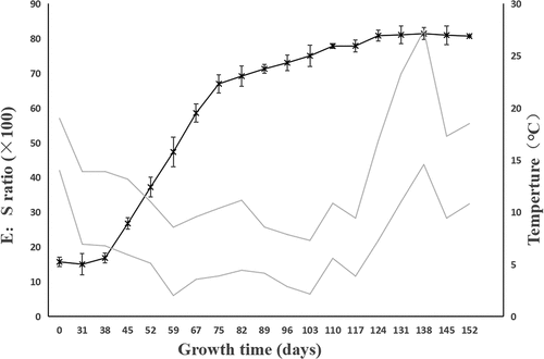 Figure 2. The change of E:S ratio for F. taipaiensis seeds. The dotted line indicated the average maximum and minimum temperature of each week. E:S ratio, the ratio of embryo length to endosperm length. Values are means ± SE (n = 50).