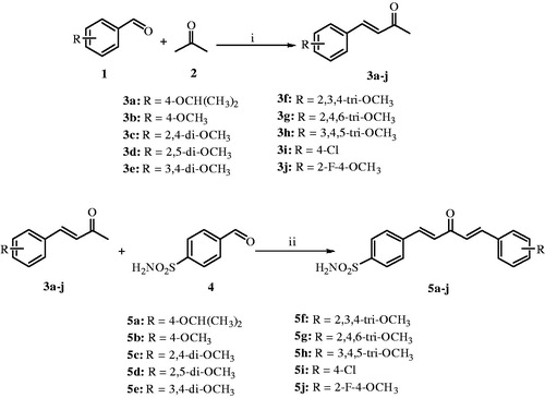 Scheme 1. Synthesis of curcumin inspired sulfonamide derivatives (5a–j); Reagents and conditions: (i) 15% NaOH, ethanol, 0 °C – rt, 2–3 h, 72–85%; (ii) 15% NaOH, ethanol, 0 °C – rt, 1–2 h, 35–45%.