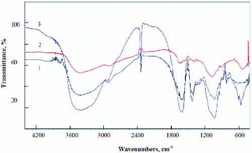 Figure 4. IR spectra: (1) chitosan-coated Ca-alginate; (2) chitosan; (3) Ca-alginate.