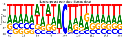 Figure 3. Average alignment profile of Illumina ‘ground-truth’ sites putatively related to the APOBEC1 enzyme signature (U bases are shown here as T).