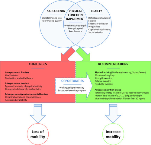 Figure 1 A Schematic representation summarizes the opportunities, the challenges, the recommendation of physical activity intervention to preserve mobility in older adults with physical frailty and sarcopenia.