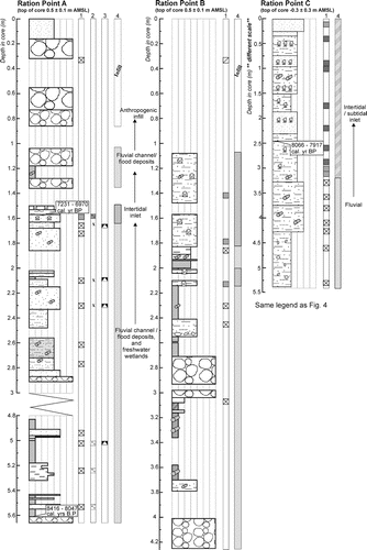 Figure 6  Stratigraphy and palaeoenvironmental interpretations of cores from Pauatahanui Inlet (see Fig. 2 for the core locations). Note that the scale for Ration Point C is different from the other two cores. The Pauatahanui Orchard core log is not shown as it was not used for palaeoenvironmental studies. See Fig. 4 for the legend.