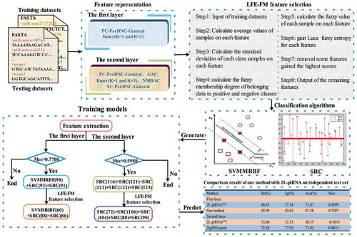 Figure 1. Conceptual framework of 2lpiRNApred.