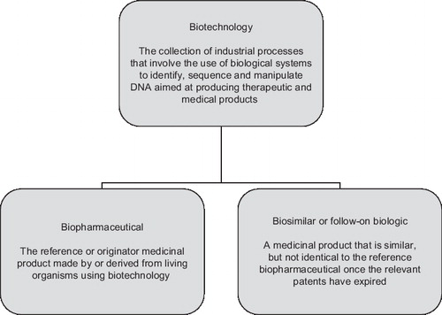 Figure 1. Outline of biotechnology products.